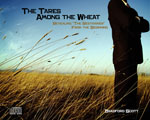 (image for) The Tares Among the Wheat (4 CDs)